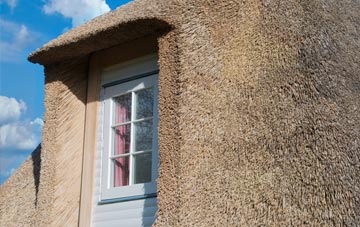 Sixhills thatch roof disadvantages
