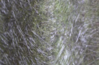 Sixhills fibreglass roof work